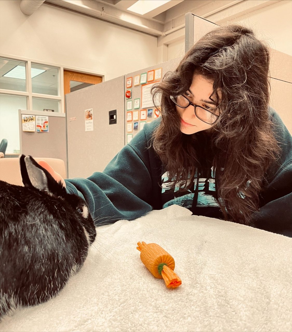 Girl and Rabbit