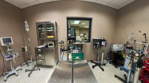 RCTC Veterinary Technician Lab